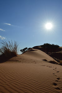 deserto, pegadas na areia, África, areia, rastreamento, Embora
