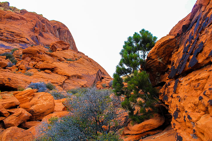 Utah, röda klippor, röd, nationella, Park, USA, öken