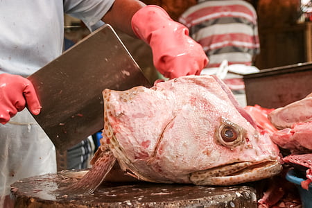 물고기, 머리, 눈, 시장, 쿠알라룸푸르, 먹는, 지역