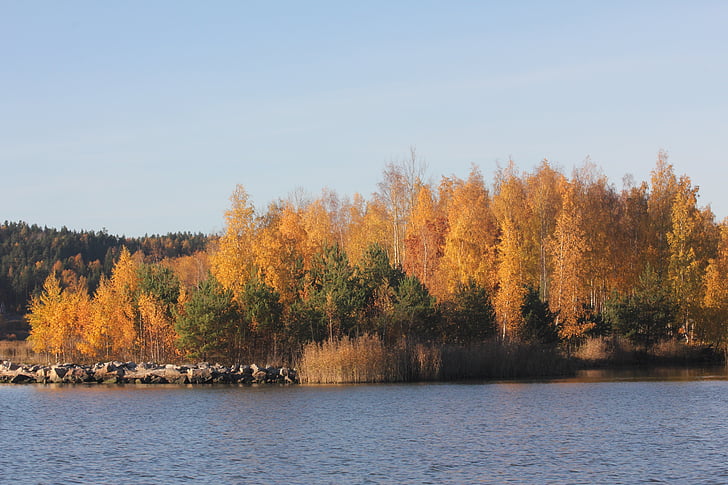 sea, autumn, finnish, landscape, nature, tree, sky