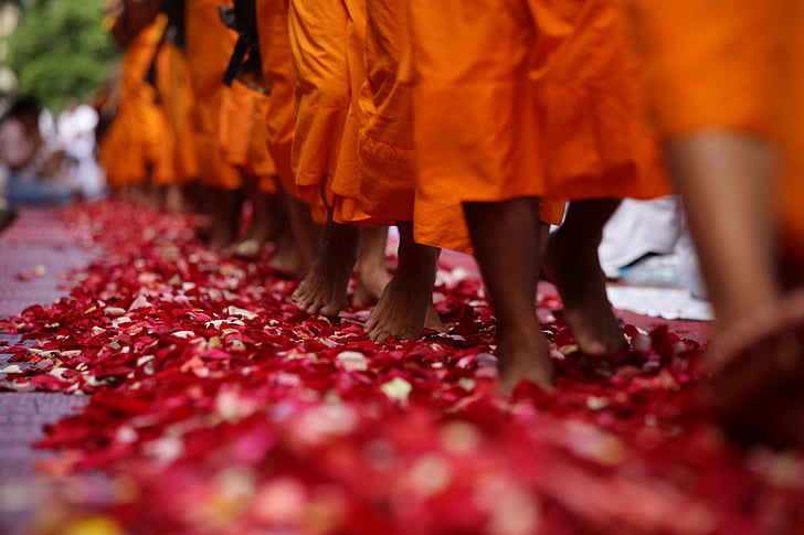 monks, buddhists, walk, rose petals, feet, robes, orange