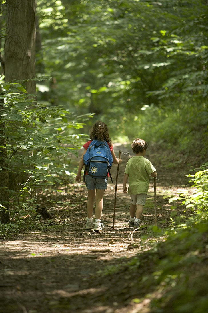 Orman, Hiking, çocuklar, Çocuk, insanlar, açık havada, yürüyüş