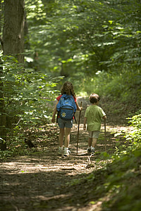 skov, vandreture, børn, børn, folk, udendørs, Walking