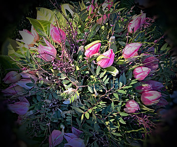 tulipanes, rosa, púrpura, bouquet grande, enlazado a rústico, sólido, salvaje