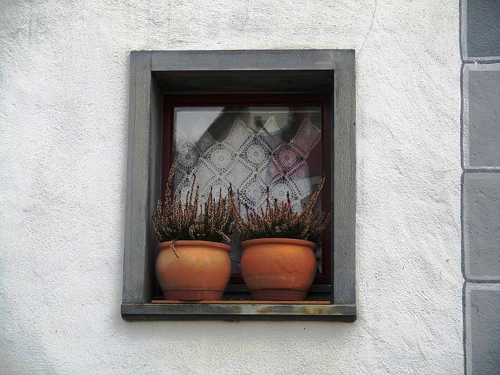 Page d’accueil, fenêtre de, Hauptwil, avec l’usine sims, pots en argile, cadre, rideaux