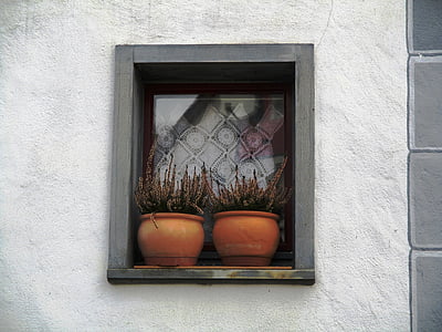 Naslovnica, prozor, Zweisimmen, sa SIM biljke, glinene posude, okvir, zavjese