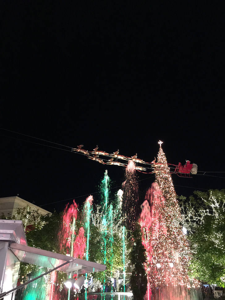 Grove, Reno, Santa, Navidad, árbol