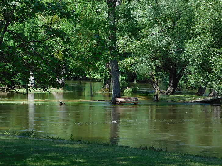 Príroda, Príroda, Zelená, strom, vody