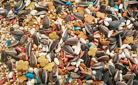 bird seed, seeds, sunflower seeds, feed, mixed, variety