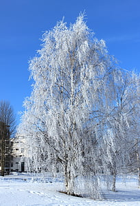 Oulu, Finlandia, invierno, nieve, Frost, cielo, nubes