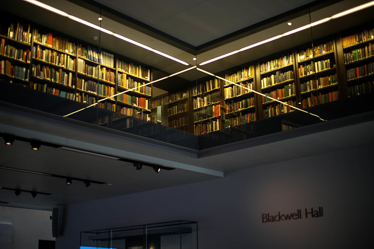 knjige, knjižne police, izobraževanje, v zaprtih prostorih, znanja, knjižnica, raziskave