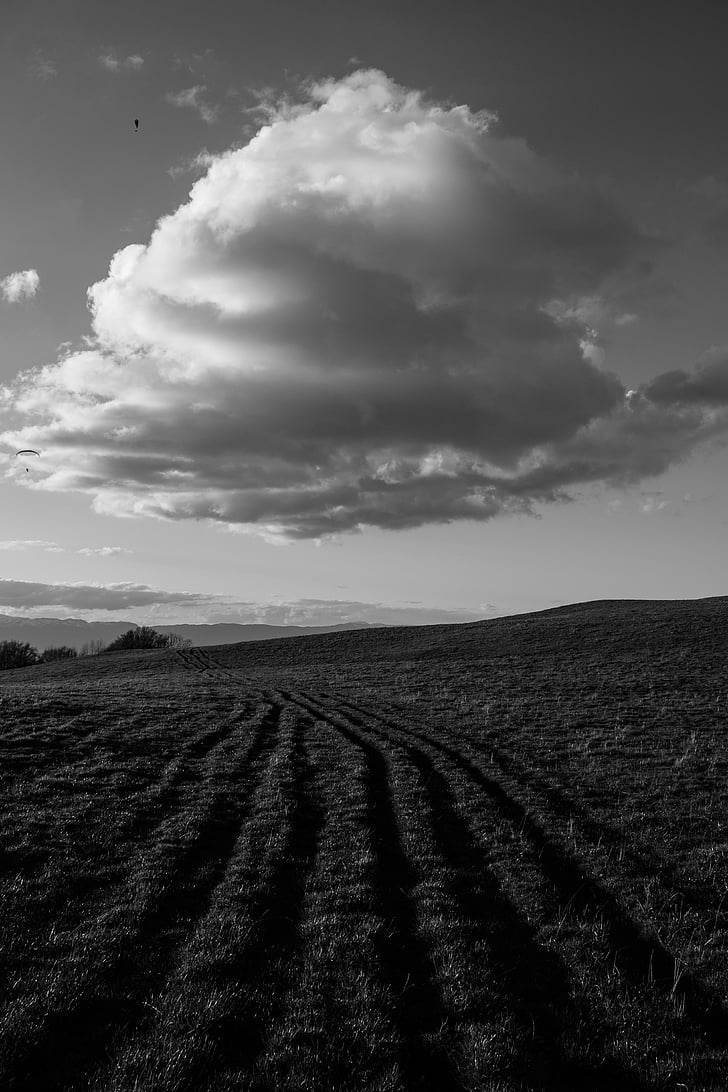 agriculture, black-and-white, cloud, country, cropland, farm, farmland