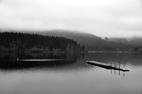søen, tåge, natur, landskab, humør, Web