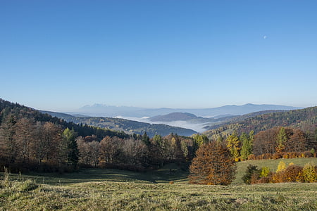Beskid sądecki, Outono dourado, Outono nas montanhas, Beskides, céu azul, paisagem montanhosa, natureza