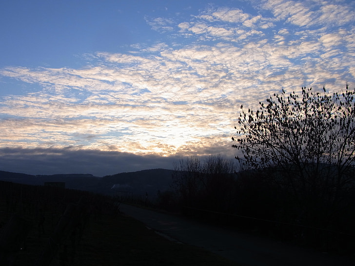 clouds, sky, weather, twilight, nature, sunrise