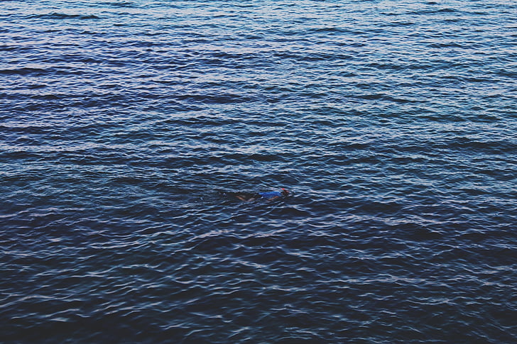 l'aigua, superfície, Immersió lleugera, blau, natura, clar, Mar