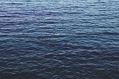 eau, surface, plongée en apnée, bleu, nature, claire, mer