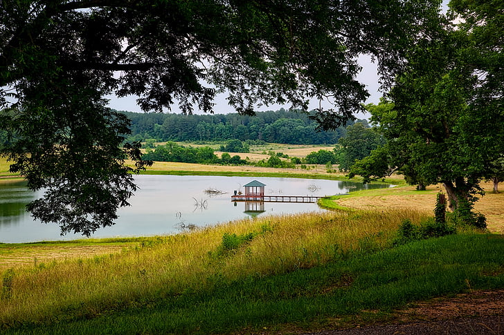 Thornhill plantage, Alabama, landskab, naturskønne, Dam, søen, refleksioner