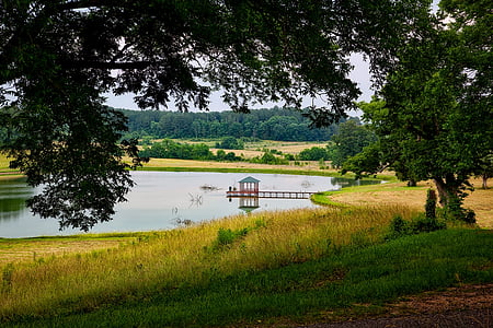 Thornhill plantation, Alabama, landskap, natursköna, dammen, sjön, reflektioner