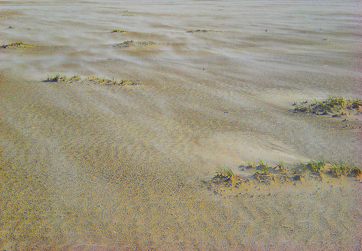 Sand, vind, stranden, kusten, Dunes, återhämtning, vågig linje