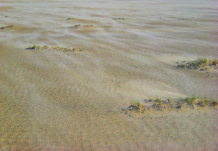 sand, vind, stranden, kysten, sanddynene, gjenoppretting, bølget linje