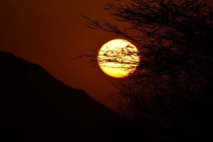 solnedgang, Øst, solen, Acacia, Afrika, Kenya, nasjonalpark