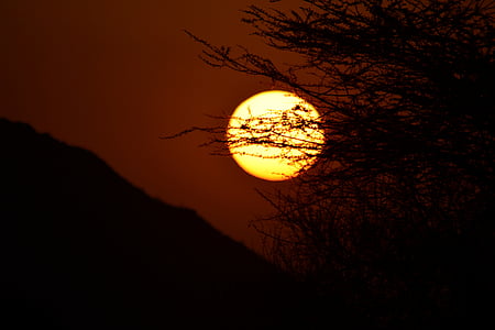 zachód słońca, Wschód, Słońce, akacja, Afryka, Kenia, park narodowy