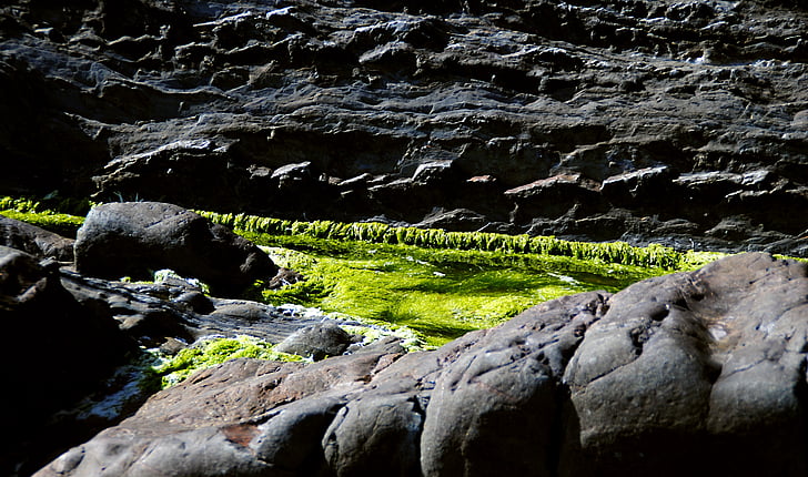 Moss, rock, stânci, stâncă, Brittany, Oceanul Atlantic, coasta