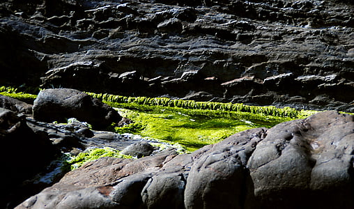 Moss, Rock, klipporna, Cliff, Bretagne, Atlanten, kusten