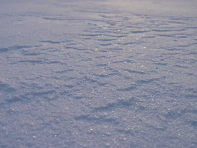 snow cover, snow, sparkle, winter, drifts, ice, ground