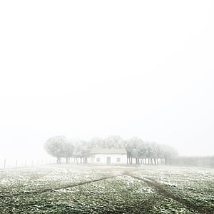 white, concrete, house, tree, mist, field, fog