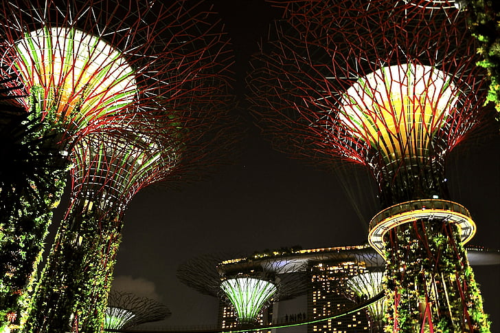 Singapūras, naktis, žibintai, lempos, aukštas, medžiai, tamsus