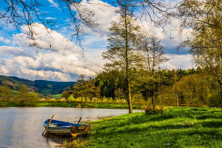 boot, lake, water, rowing boat, landscape, fish, bank