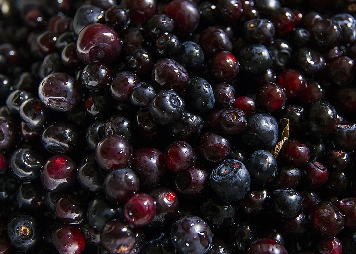 huckleberries, fruit, tasty, edible, ripe, berry, food