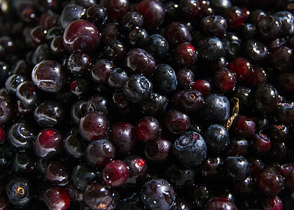 huckleberries, frukt, velsmakende, spiselige, moden, bær, mat
