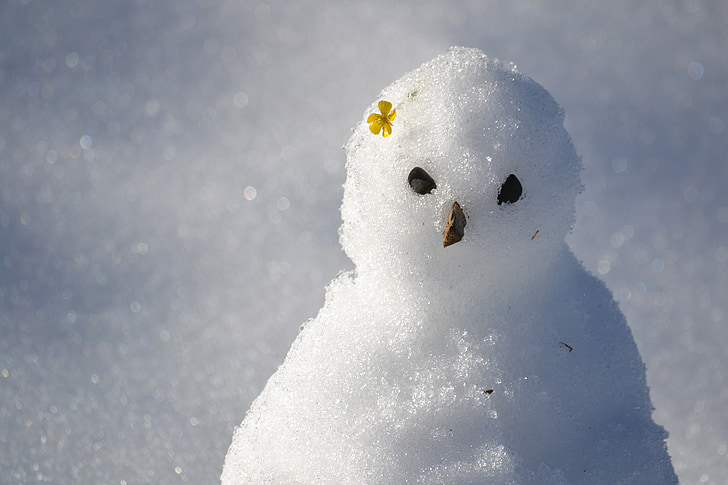 sniega cilvēks, sniega, ziemas, aukstā - temperatūra, balta, salna, sezonas