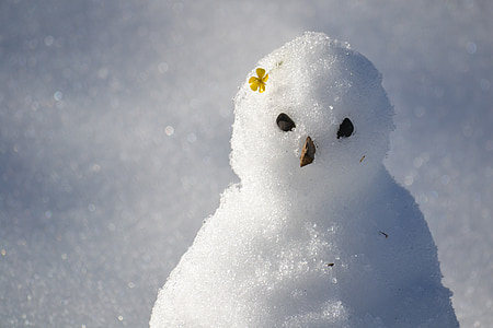 omul de zapada, zăpadă, iarna, rece - temperatura, alb, Frost, sezon