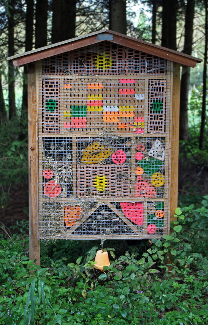insekt hotel, nesting hjælp, vilde bier, insekt, Bee hotel, hvepse, skolens have