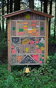 insect hotel, nesting help, wild bees, insect, bee hotel, wasps, school garden