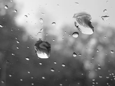 дождь, воды, стекло, капли, лобовое стекло, капли воды