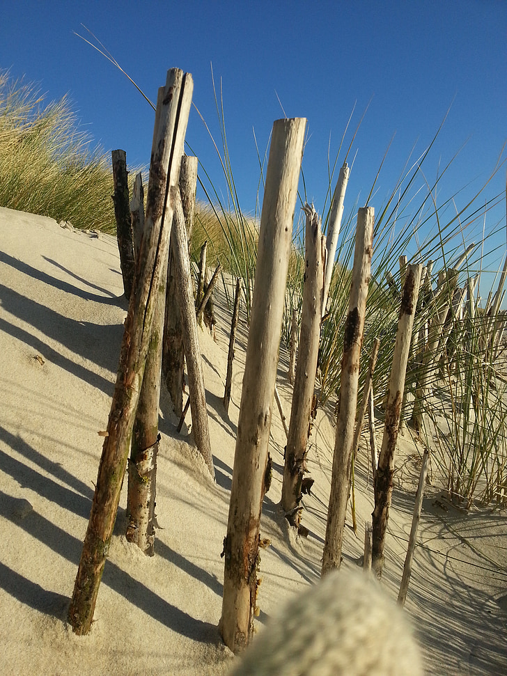 island föhr, beach, north sea, fence, nature, sand Dune, no People