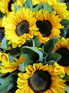 Ηλίανθος, λουλούδια, Κίτρινο, δέσμη, άνθος, άνθιση, μπουκέτο