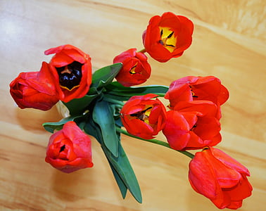 tulips, flowers, bouquet, bright, beautiful flowers, handsomely, march 8