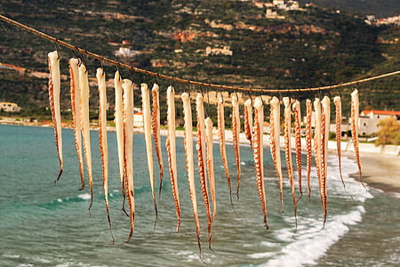 pieuvre suspendue, en train de mourir, fruits de mer, Grèce, traditions, alimentaire, méditerranéenne
