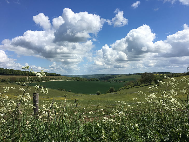 cumulus, fields, ridgeway, sky, nature, rural, agriculture