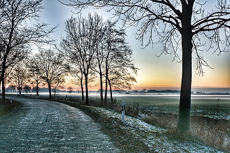 Breite, Winter, Ostfriesland, Baum, Natur