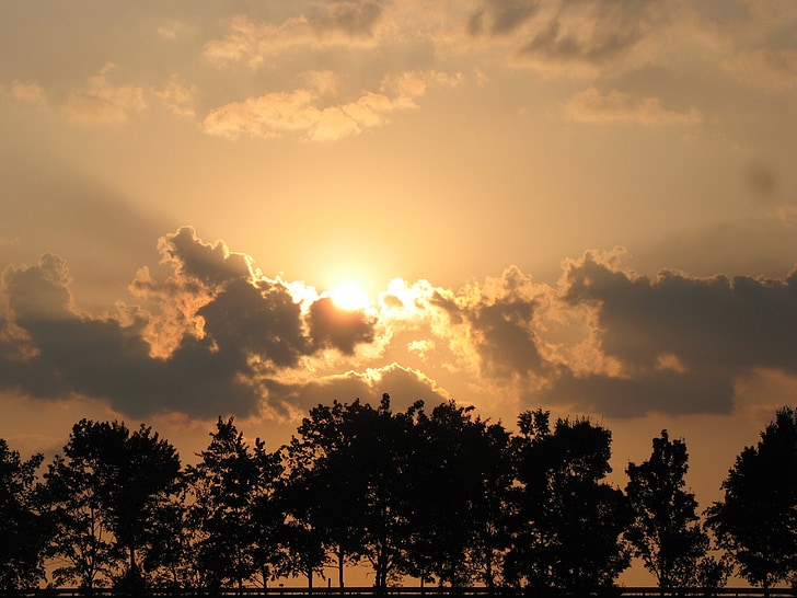 Západ slunce, abendstimmung, stromy, nálada, slunce