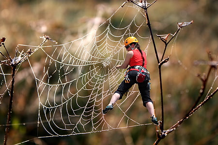 penjanje, uspon, paukova mreža, neosiguranim, planinar, spustiti se