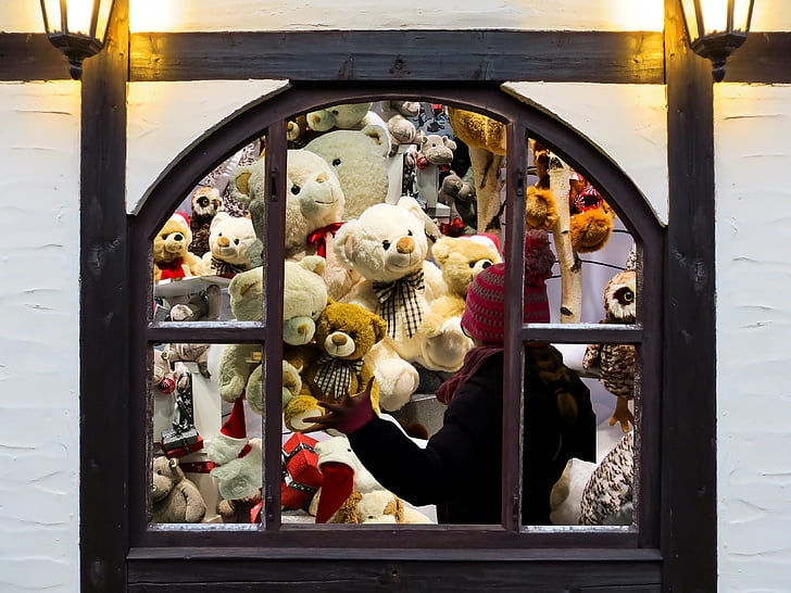 christmas gift, christmas, gift, teddy bear, stuffed animal, window, wish you