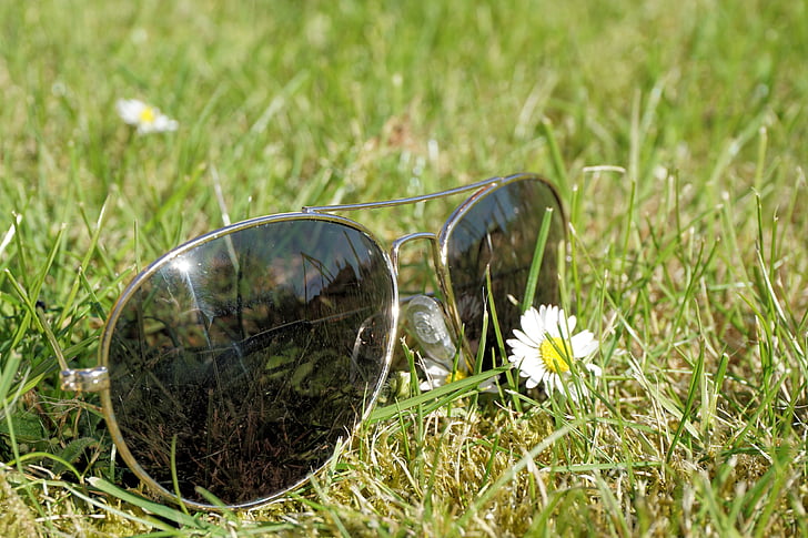 лято, слънце, слънчеви очила, релаксация, празници, трева, природата